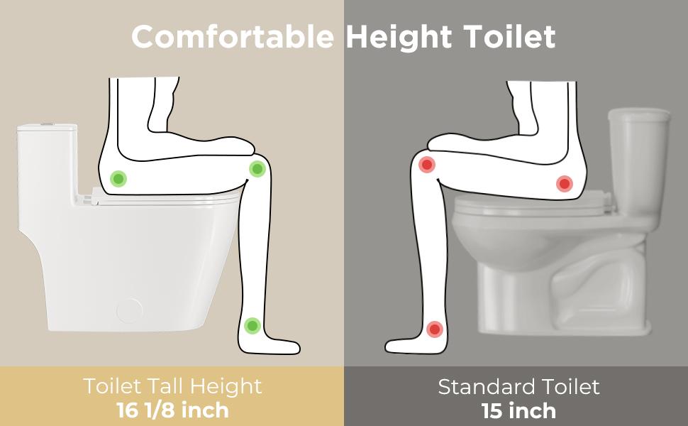 Compact One-Piece Elongated Toilet Dual Flush 1.1/1.6 GPF Siphon Flushing, 12 inch Rough-In, 16-1/8 inches Comfort Standard Height, Quiet Soft-Close Seat, Fully Skirted Easy-Clean Design