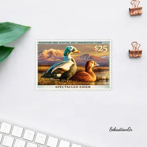 2026 Duck Stamp Sticker, Spectacled Eider Duck Hunting Decal, Migratory Bird Hunting