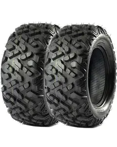 Garvee Set of 2 25x10-12 6PR ATV UTV Tires, All Terrain Tubeless Tires for Mud, Trail, Sand, Gravel & Street, Heavy-Duty Design for Off-Road Riding
