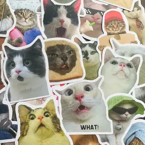 [ GIFT ] Random 5 Funny Cute Cat Stickers