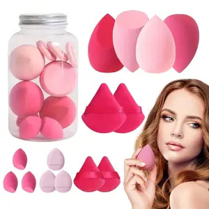 Makeup Sponge Set Triangle Puff 14 Pcs for Liquid, Cream, and Powder, Multi-colored Makeup Sponges and Mini Sponge with Case