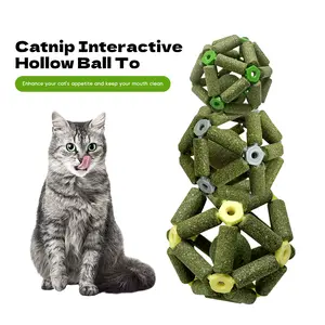 Natural Catnip Interactive Ball - Dental Care & Digestive Support Cat Toy