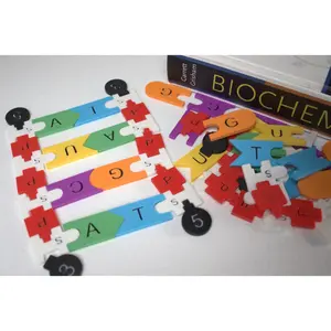 Biology DNA Building & Practice Kit for Teachers & Students Learning DNA Structure & Base Pairing classroom