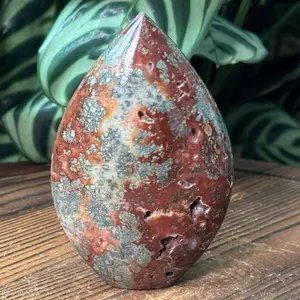 Marcasite Agate Flame and Palm Stone – Indonesia | Metallic Crystal Inclusions