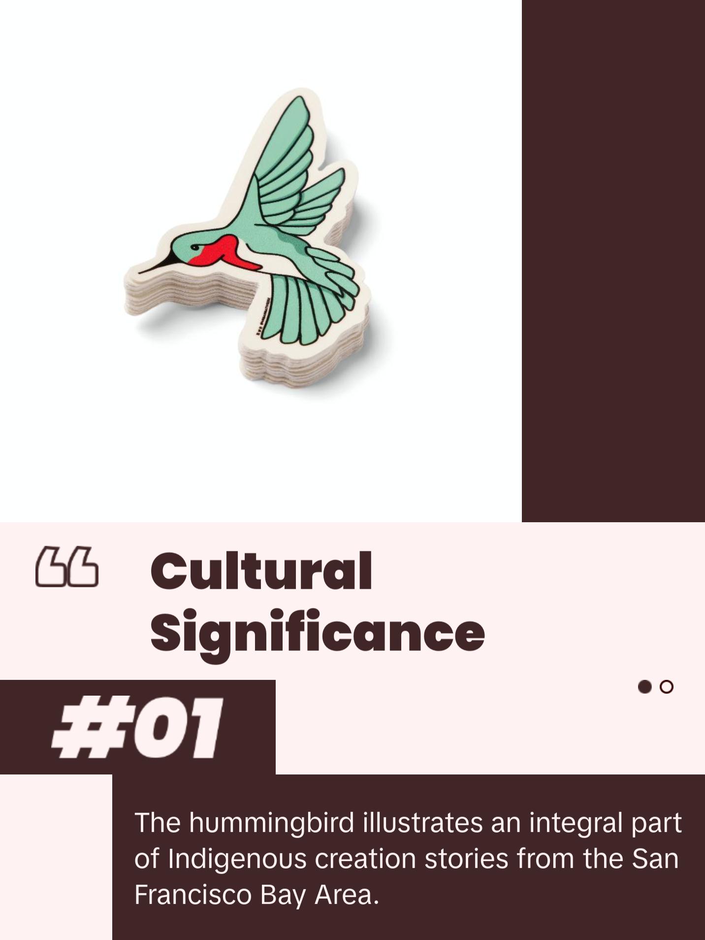 Hummingbird Sticker - Indigenous Design Tribute - TikTok Shop