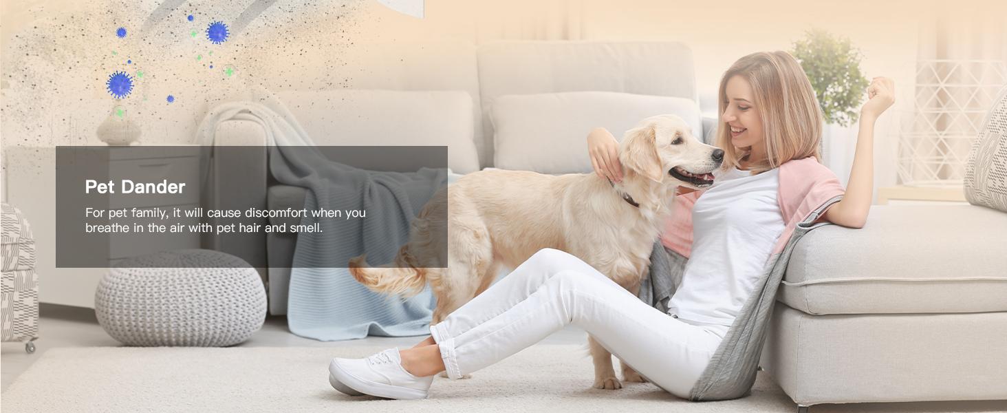 Chivalz 2 Pack Air Purifier for Bedroom Allergies Pet Hair 3 in 1 Filter with HEPA Sleep Mode Removes Dust Smoke Pollutants Odors Air Purifier Natural Air Filter, Household Appliances #TikTokShopBlackFriday Fragrance Machine