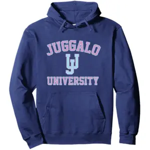 University - Blue & Pink Mayhem is the New Degree Pullover Hoodie