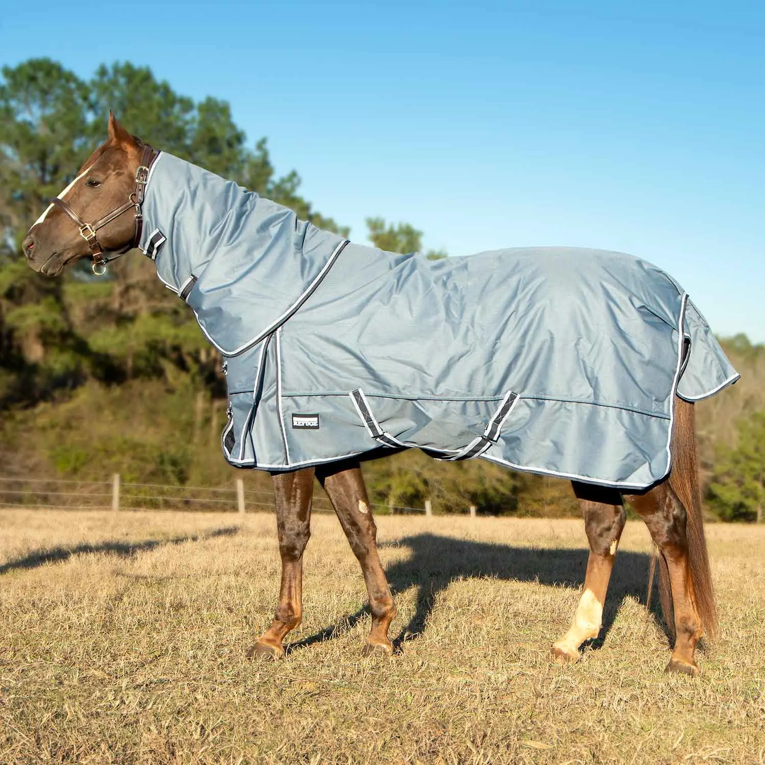 Jeffers Poplar Head "Refuge" 1200 Denier Turnout Blanket with Detachable Neck, 240 Gram, Hamilton Blue