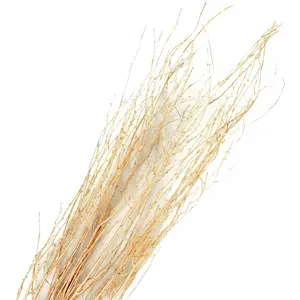 GS Foliage Branches for Vase, 3'–4' Natural Birch Tree Branches for Decoration, Bundle of 10 Tall Decorative Sticks for Vases, Rustic Wood Branches for Crafts, Weddings, Seasonal & Home Décor - Gold