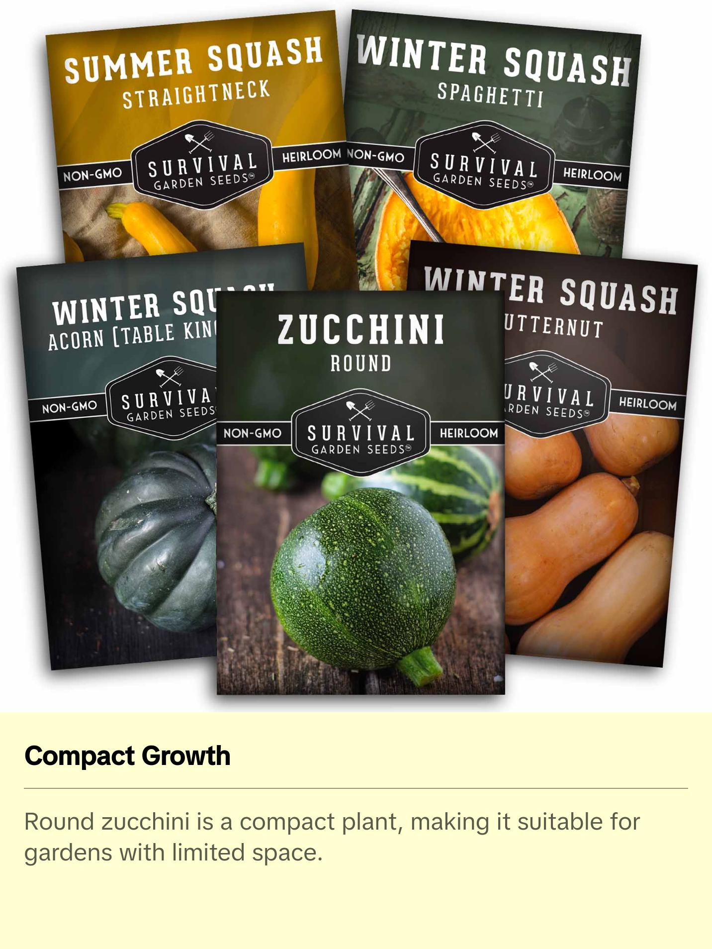 Survival Garden Seeds Squash Seed Collection - Winter & Summer Squash - 5 Non-GMO Heirloom Varieties for Planting - Round Zucchini, Straightneck Yellow, Spaghetti, Butternut, Acorn Squash - Easy to Grow - Compact & High Yields