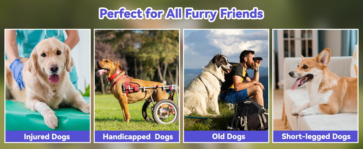 74'' L & 20'' W Longest Dog Ramp for Car - Extra Wide Portable Pet Dog Ramps for Large Dogs, Dogs Cars Ramp for Car SUV/Truck/RV/Bed, Lightweight Ramps with Non-Slip Mesh Up to 250LBS, Black