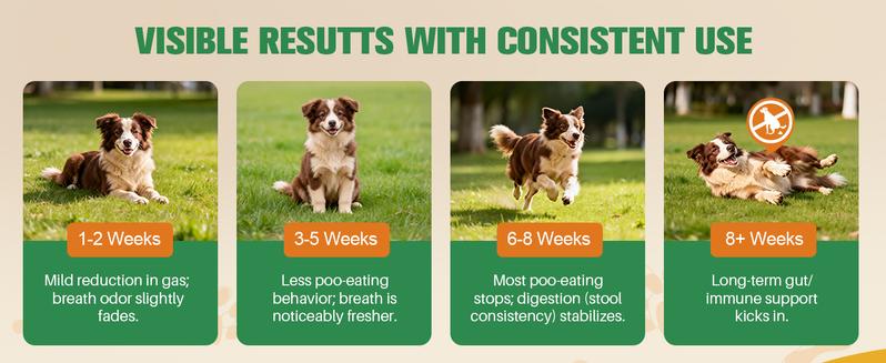 Petrivium No Poo Chews - Coprophagia Deterrent for Dogs, No Poop Eating Deterrent for Dogs, Stopping Dog from Eating Poop Supplement with Probiotics & Digestive Enzymes 150ct