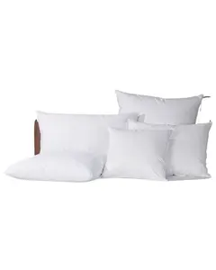 Hiend Accents Unisex Down Pillow Sham Insert King Size - In1010-Kp-Oc