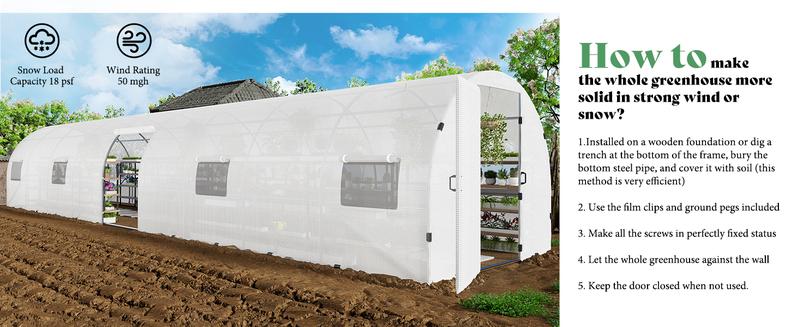 AMERLIFE Tunnel Greenhouse for Outdoors, Heavy Duty Greenhouse kit with Galvanized Steel Frame, Upgraded Swing Door & Premium PE Cover