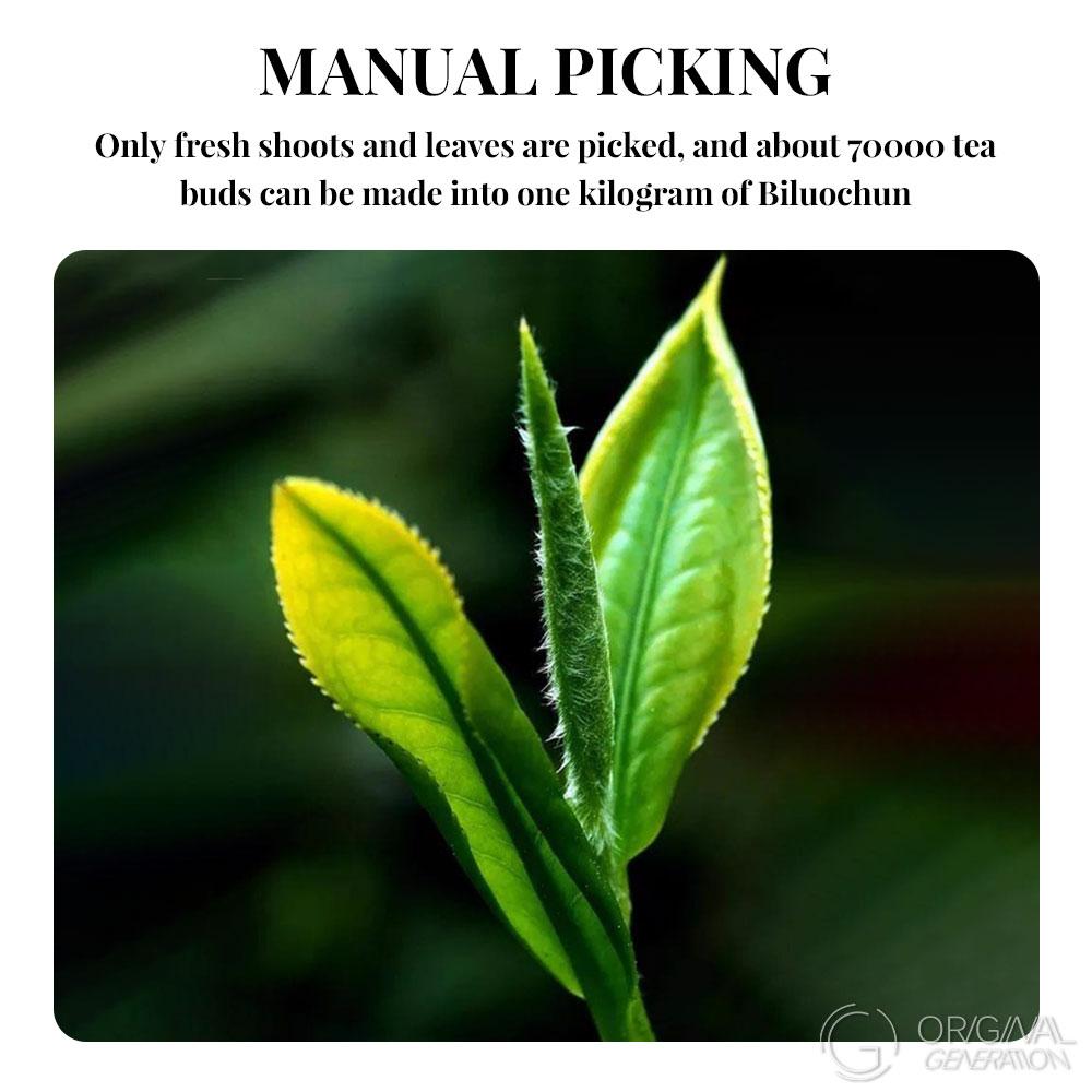 2025 BiLuoChun Green Tea 120g With Magnetic Tea Separator (2.5g×48pcs) 2025 New Green Tea Pan-fried Green Tea