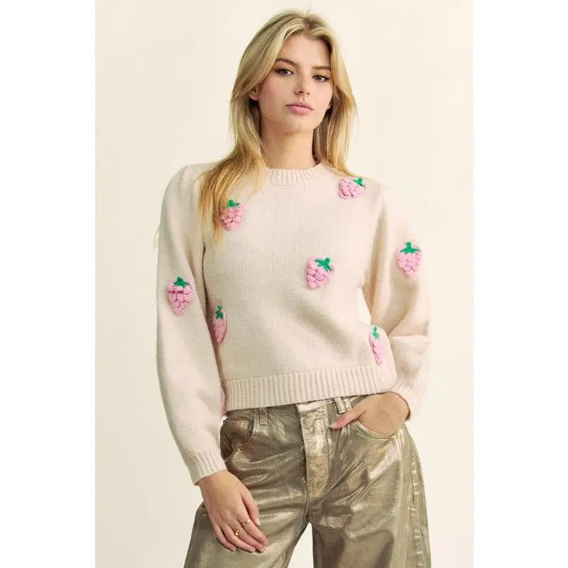 Davi & Dani Crochet Strawberry Round Neck Sweater
