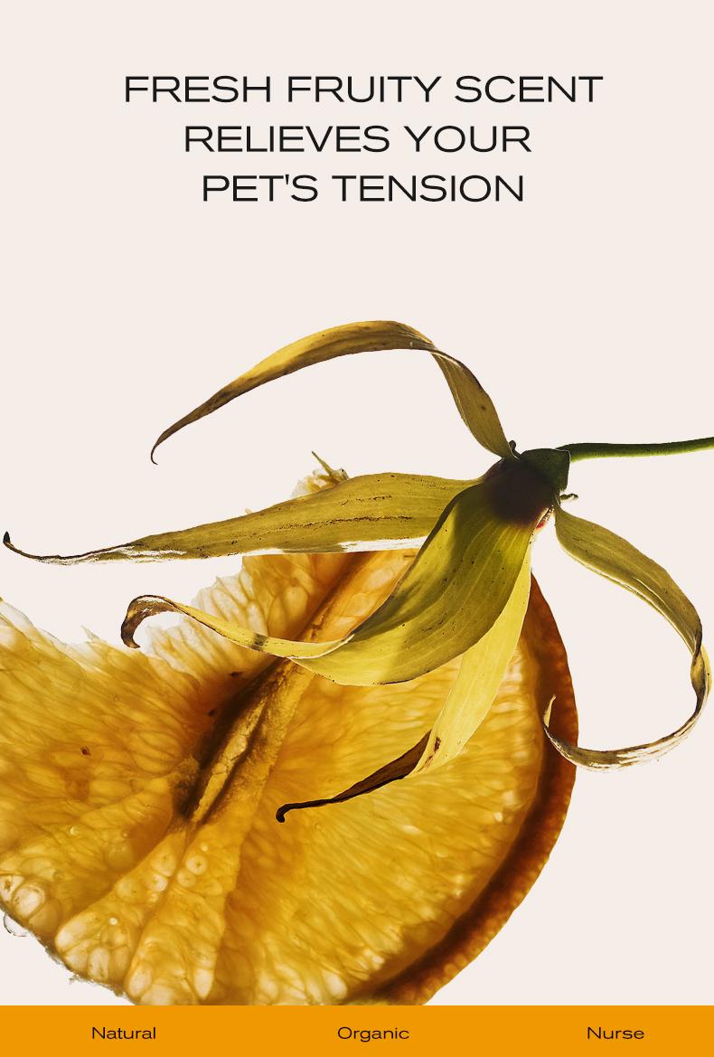 Amo Petric-Finger Wipes for Pet ,pet teeth care Golden Seaweed Oral Care,20pcs