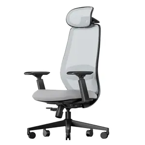 ProtoArc Ergonomic Office Chair – EC200 High-Back Mesh Computer Chair with Lumbar Support, 3D Adjustable Headrest & Sliding Seat for 8+ Hour Comfort, Big & Tall Home Office Desk Chairs