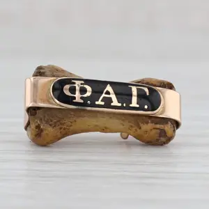 Antique Phi Alpha Gamma Bone Badge 14k Gold Enamel Medical Fraternity Pin