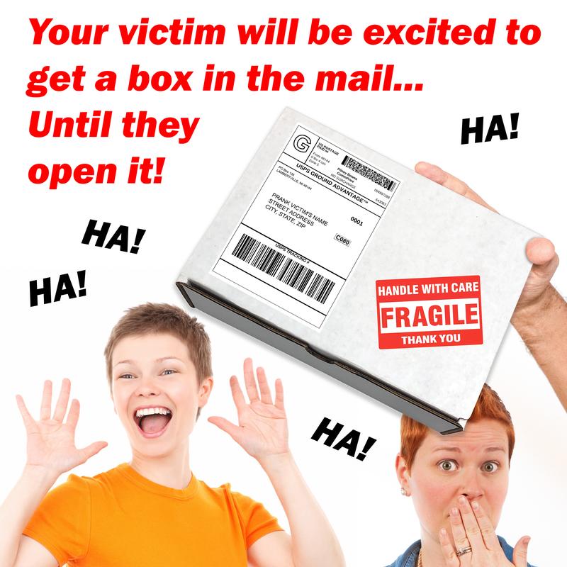 Prank Mail Gag - Poo today Joke Box Gets Sent Directly to Your Recipient, 100% Anonymously!