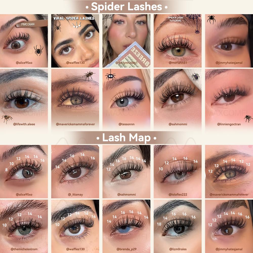 Spider Lashes  Length Lock Breeze Maxcomfi DDcurl Kim Lashes Clusters DIY Your Lash Map