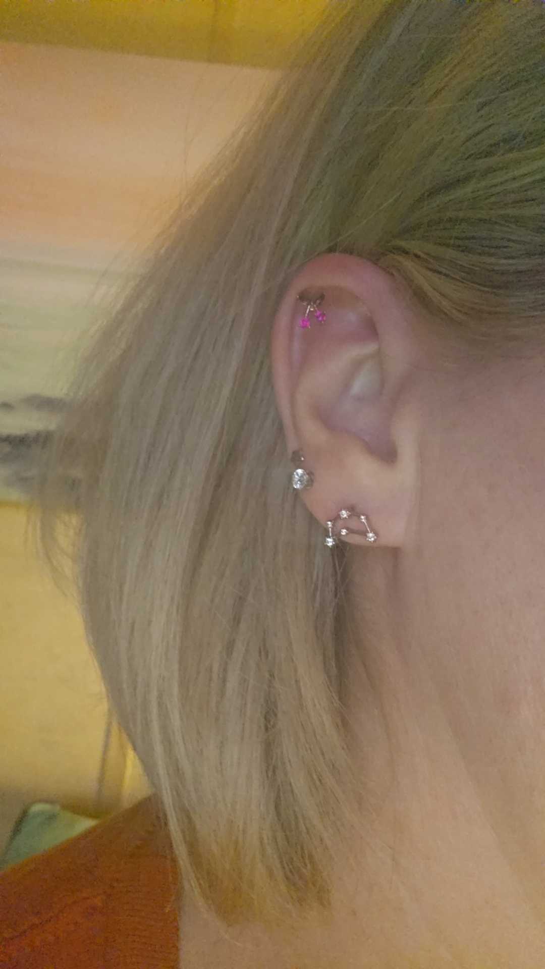 Oufer 16G Zodiac Sign Twelve Star Constellation Cartilage Lobe Earring Stud Aries, Taurus, Gemini, Cancer, Leo, Virgo, Libra, Scorpio, Sagittarius, Capricorn, Aquarius in 316L Stainless Steel Oufer 16G Zodiac Sign Twelve Star Constellation Cartilage Lobe Earring Stud Aries, Taurus, Gemini, Cancer, Leo, Virgo, Libra, Scorpio, Sagittarius, Capricorn, Aquarius in 316L Stainless Steel