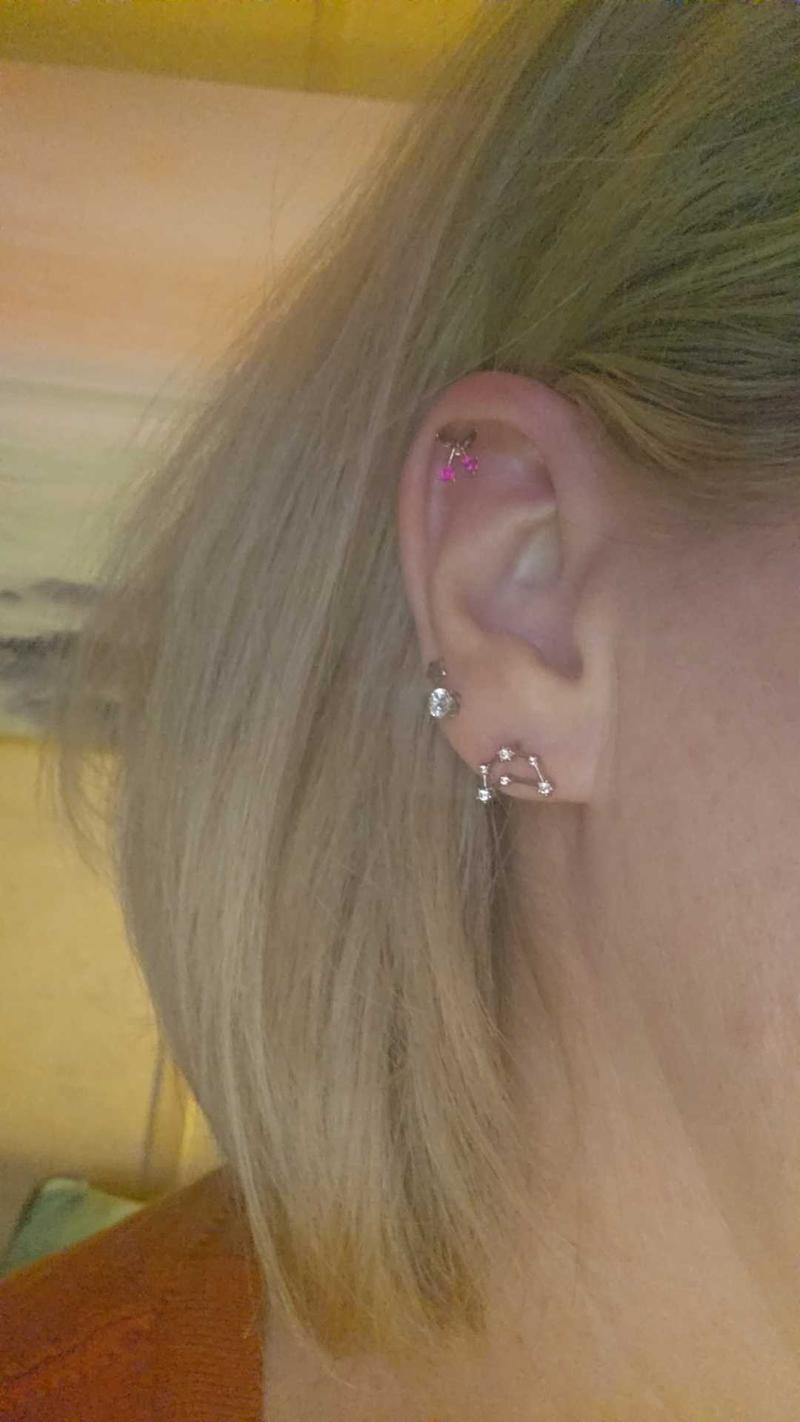 Oufer 16G Zodiac Sign Twelve Star Constellation Cartilage Lobe Earring Stud Aries, Taurus, Gemini, Cancer, Leo, Virgo, Libra, Scorpio, Sagittarius, Capricorn, Aquarius in 316L Stainless Steel Oufer 16G Zodiac Sign Twelve Star Constellation Cartilage Lobe Earring Stud Aries, Taurus, Gemini, Cancer, Leo, Virgo, Libra, Scorpio, Sagittarius, Capricorn, Aquarius in 316L Stainless Steel