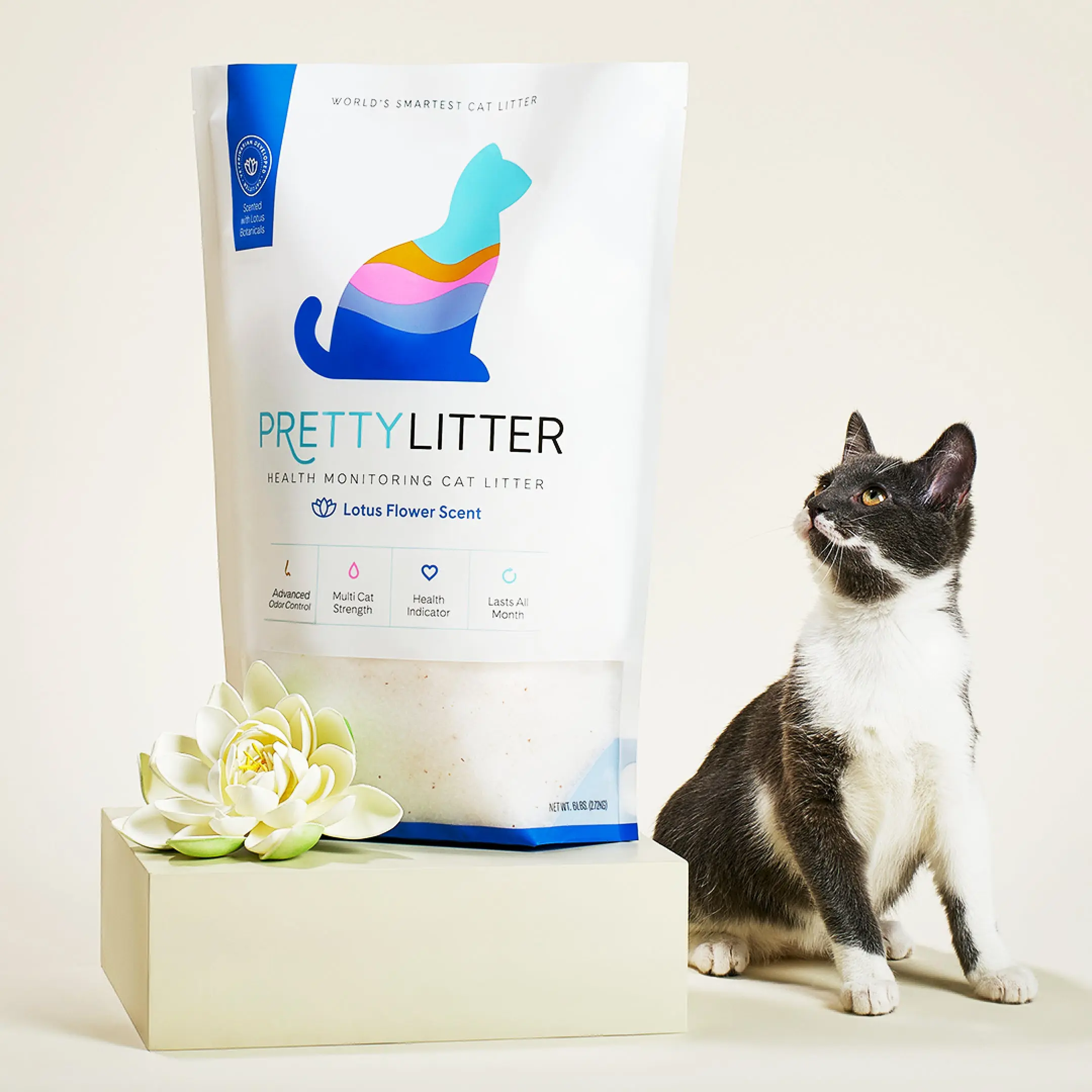 PrettyLitter Lotus Scented Cat Litter, 6lb