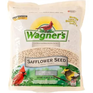 Safflower Seed Wild Bird Food Premium Single Ingredient Seed for Backyard Birds 5 lb Bag