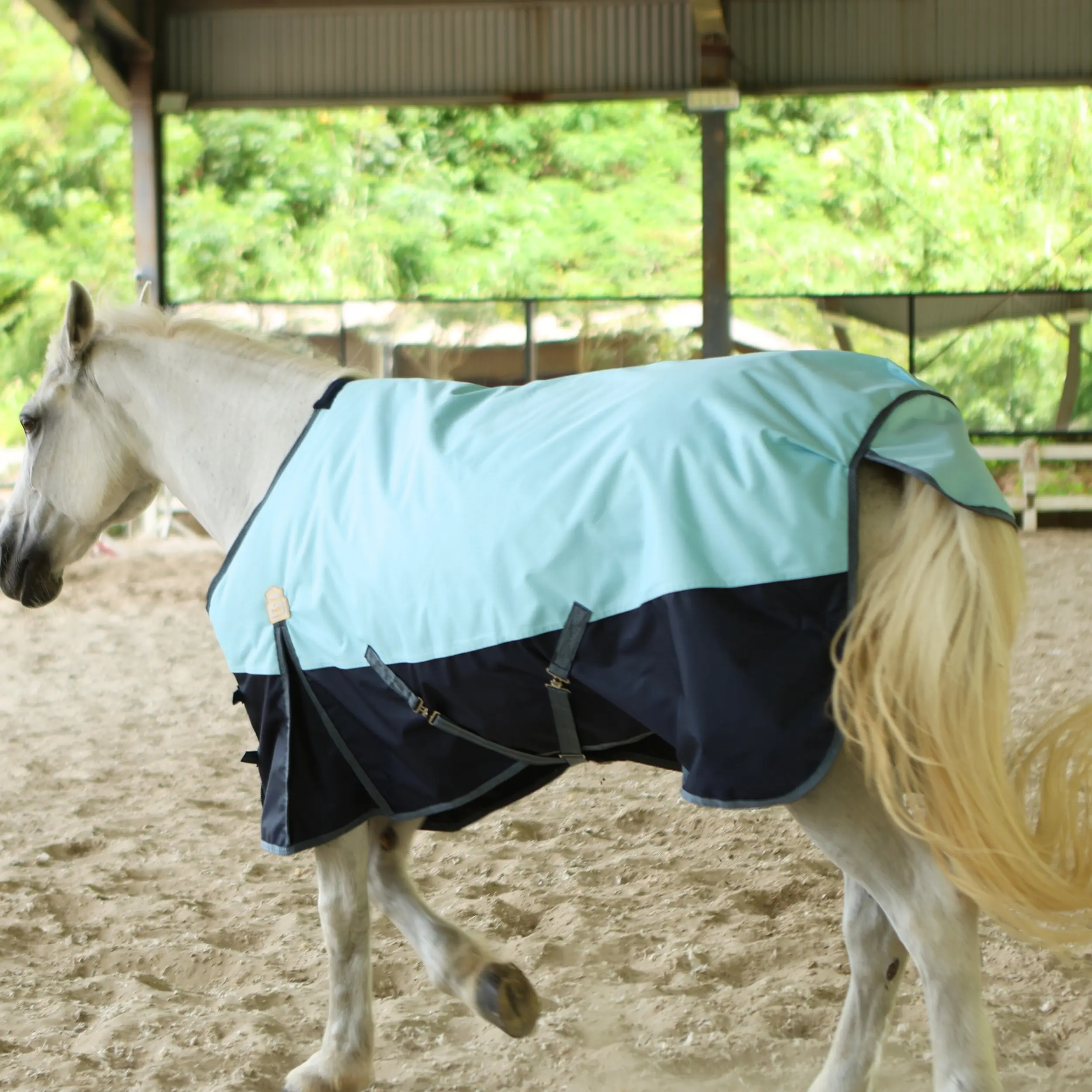 BARN & STABLE Winter Horse Blanket, 600Denier, 3000mm/3000mvp Waterproof & Breathable, 300g Fill, Adjustable & Stable Fit, Horsewear & Bandaging, Large Gussets