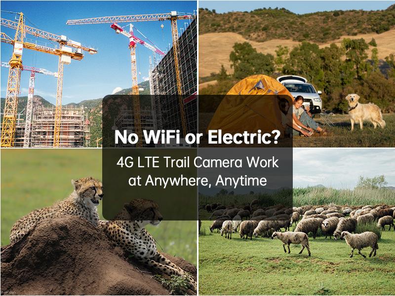 SeeVision 4G LTE Cellular Trail Camera with 360° View FHD Live Streaming Solar Panel Night Vision Motion Detection Two-Way Audio for Hunting & Outdoor Security