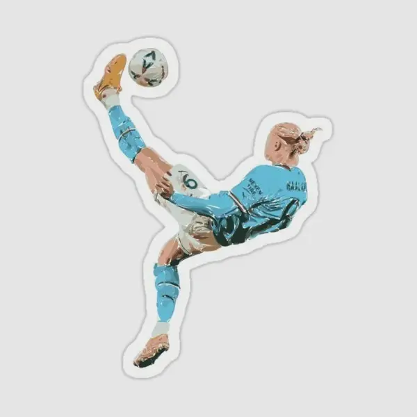 Erling Haaland Vinyl Sticker Gloss Finish Waterproof Football Fan Decal For Laptop Phone Water Bottle