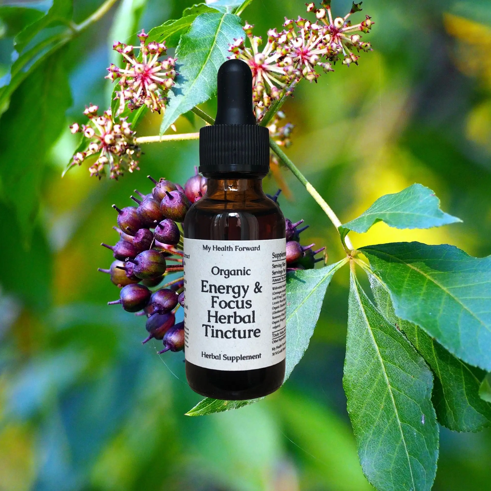 Organic Energy & Focus Herbal Tincture - Herbs for Focus, Attentiveness, and Motivation