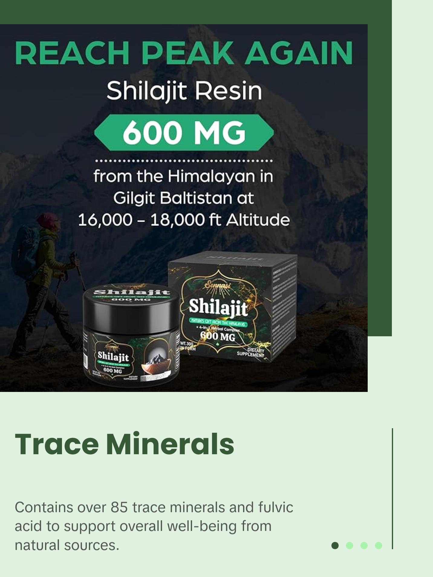 Shilajit Pure Himalayan Organic Shilajit Resin 600 MG (2 Pack)