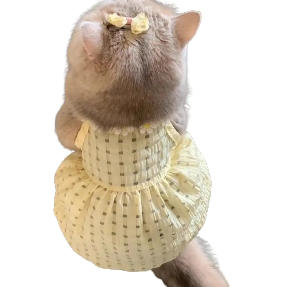 Pet Clothes, Clothing for Cats, Kitty, Summer Lightweight Dress, Anti-Shedding, Cute Thin Design, Ideal for Golden Gradual Color Persian Blue Cats