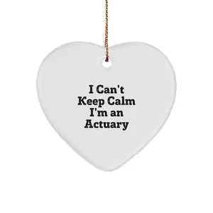 Funny Actuary Gifts from Friends for Actuary Men, I Can't Keep Calm I'm An Actuary Heart Ornament, Unique Christmas Unique Gifts for Actuary Colleagues