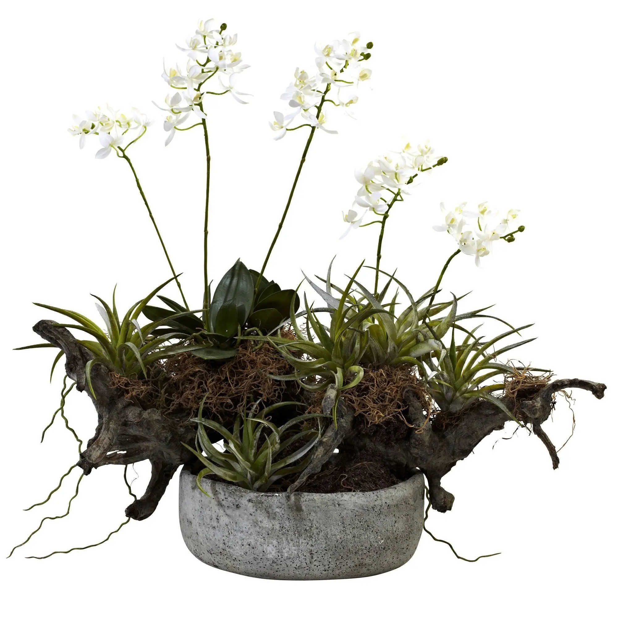 Driftwood Nature Theme Garden Planter - Indoor Decorative Flower Pot for Orchids, Succulents, Container Gardening & Home Indoor Garden Vibe, Garden Planters