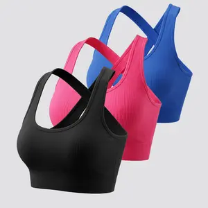 Basic 3 Pack Criss Cross Back Sports Bra