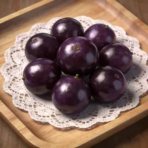 Jaboticaba Tree Seeds | Seeds for Home Gardening | Suitable for Beginners and Plant Enthusiasts