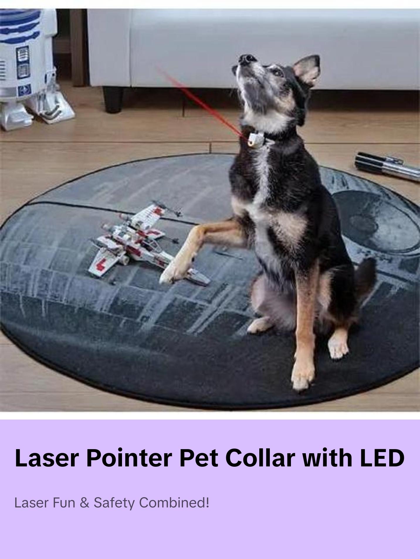 Laser Pointer Pet Pet Collar