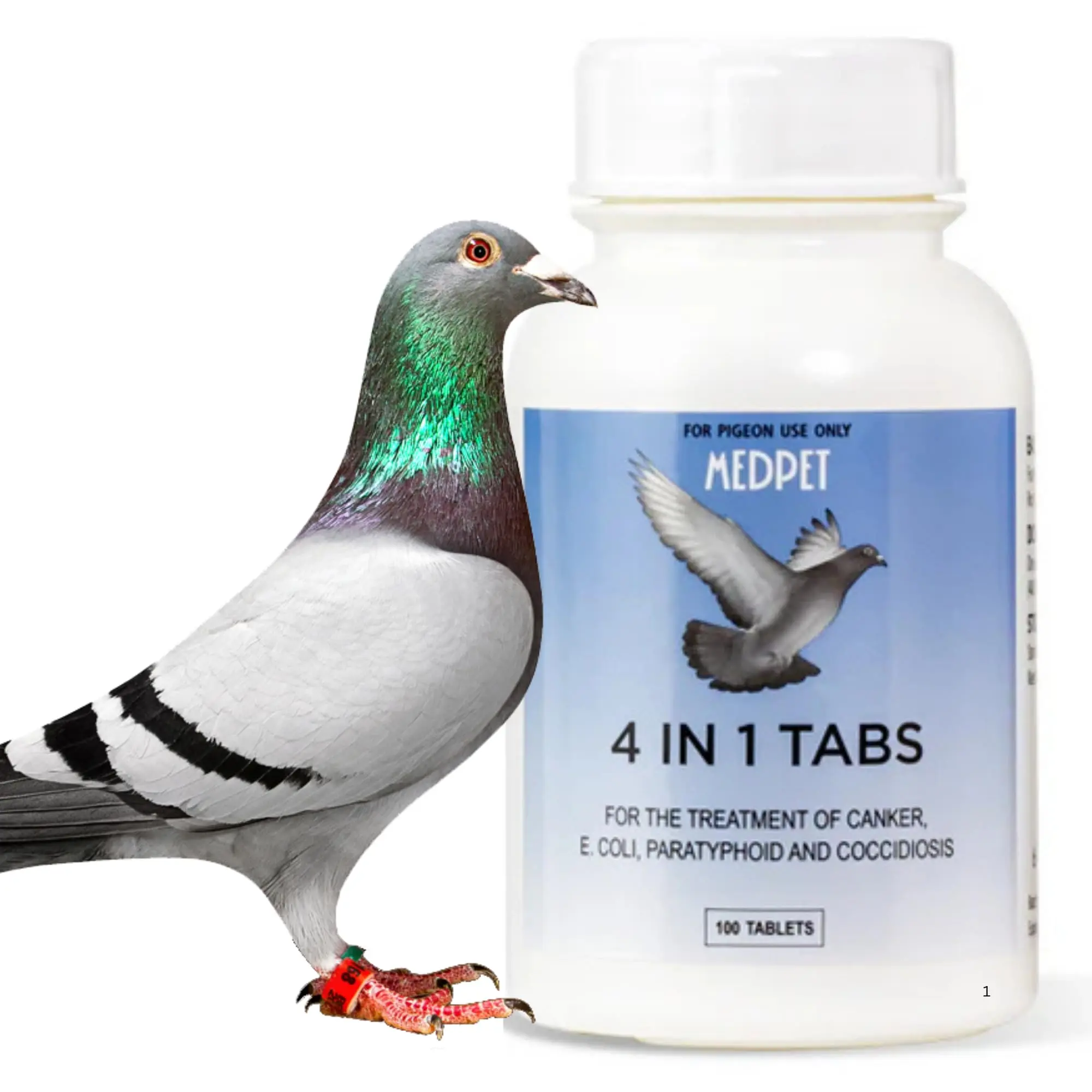 4-in-1 Bird Healthcare Tablets & Powder, 100g, Pigeon & Bird Treatment Supplies, For Pigeons And Birds