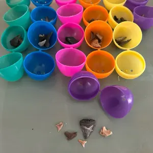 Pre-filled Easter eggs with real coastal fossils Pre-filled Easter eggs with real coastal fossils