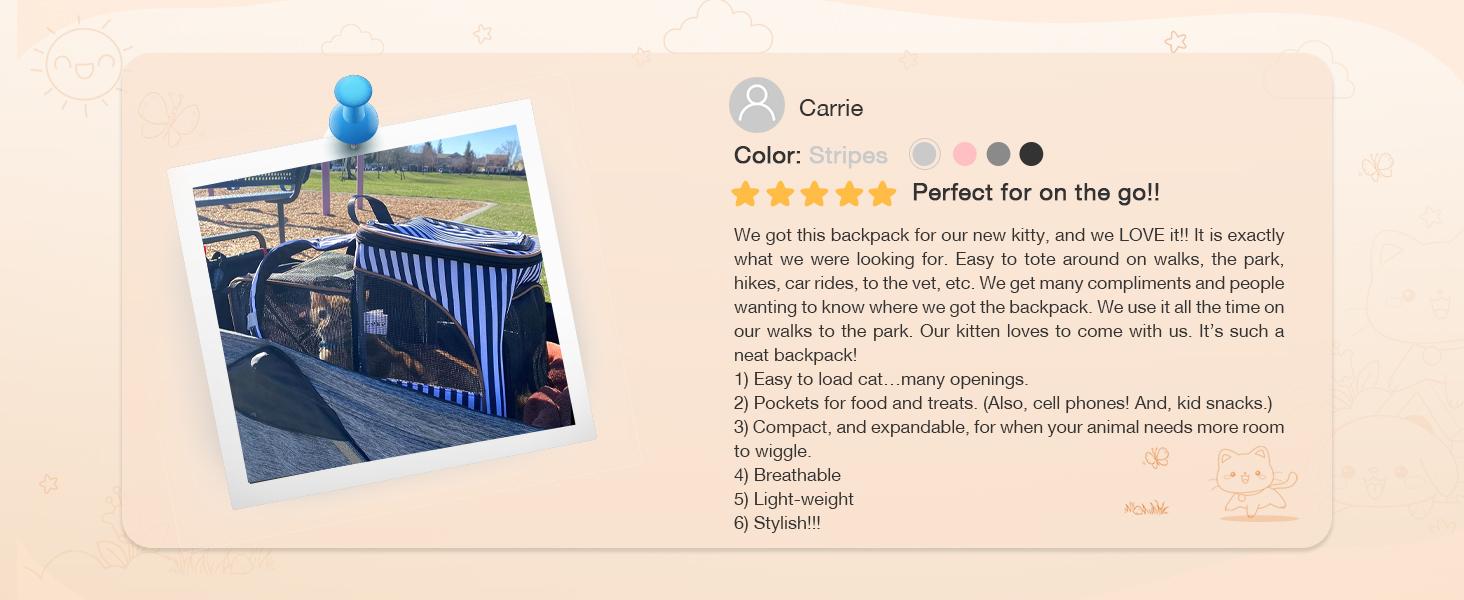 Cat Backpack Expandable Pet Carrier Backpack for Small Cats and Dogs, Airline-Approved Foldable Dog Carrier Backpack with Inner Safety Leash, Grey