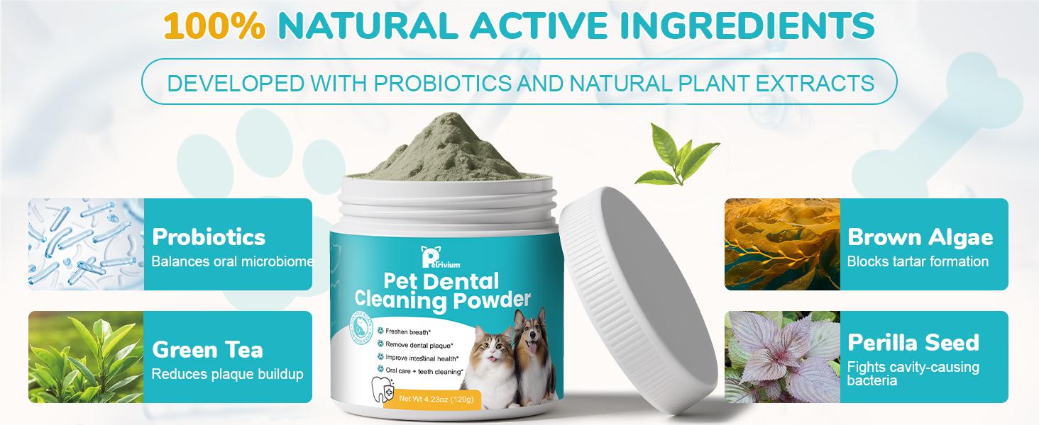 2 Pack-Large Jar 120g Dog Teeth Cleaning Powder，60 Servings Pet Dental Cleaning Powder for Dogs & Cats – Removes Tartar & Stains, Freshens Breath, Natural Oral Care Toothpaste Alternative，Plaque Tartar Remover with Postbiotic