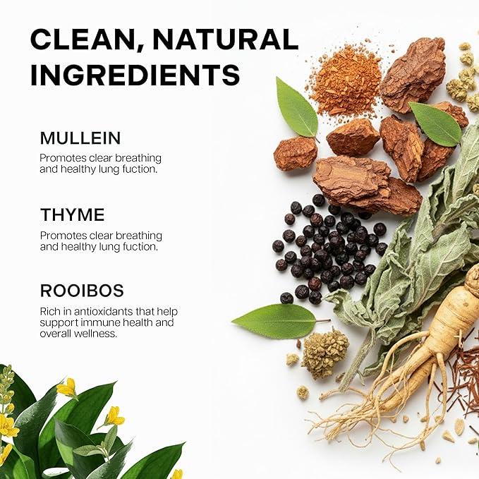 Betterbrand Herbal Lung Detox Tea Bags - Mullein Leaf, Ginseng, Elderberry, Ginger & Thyme for Lung Cleanse & Mucus Detox - 15 Tea Bags for Healthy Natural Respiratory Relief