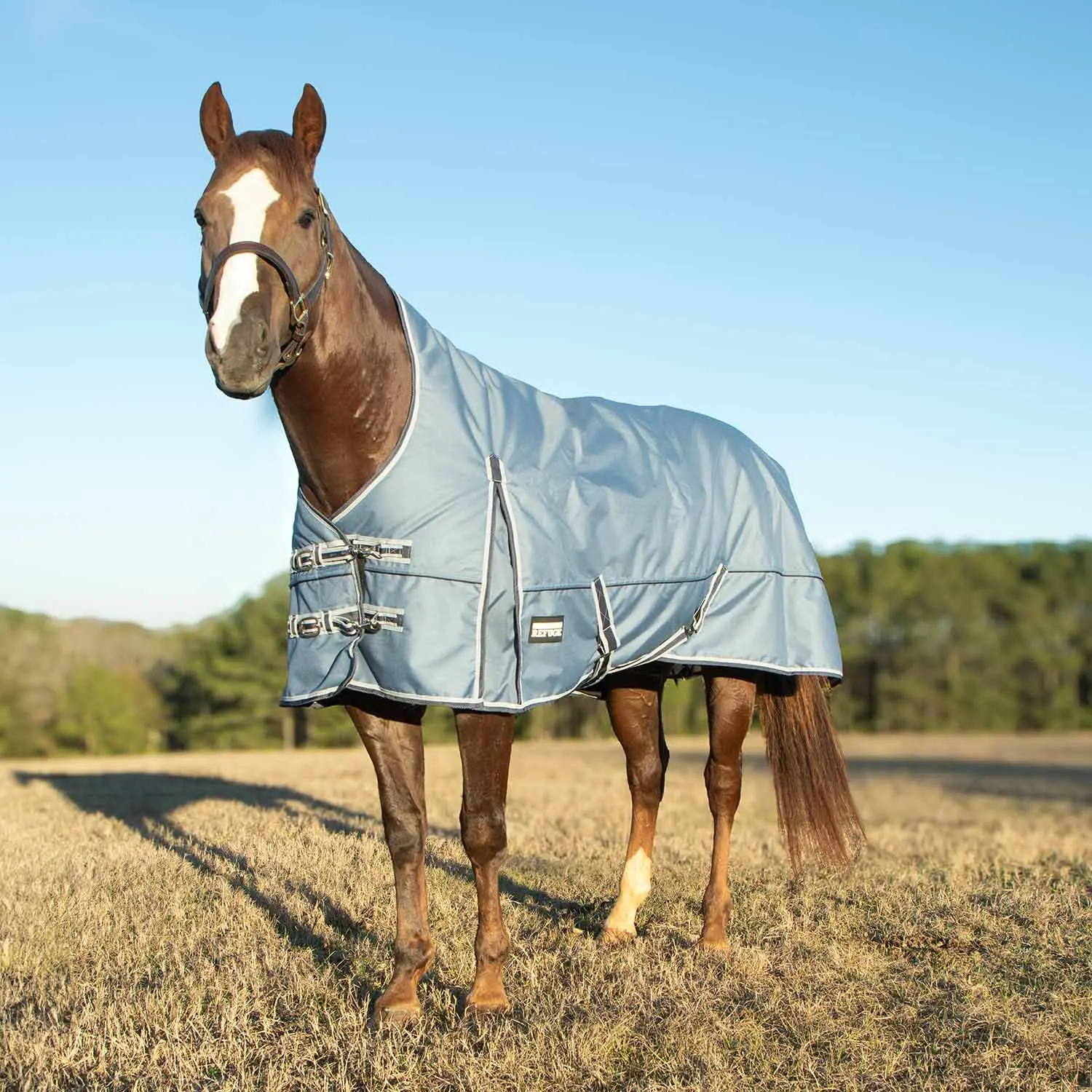Jeffers Poplar Head "Refuge" 1200 Denier Turnout Blanket with High Neck, 240 Gram, Hamilton Blue