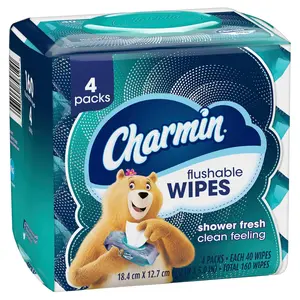 Flushable Wipes, 160 Total Wipes (4 Packs of 40)
