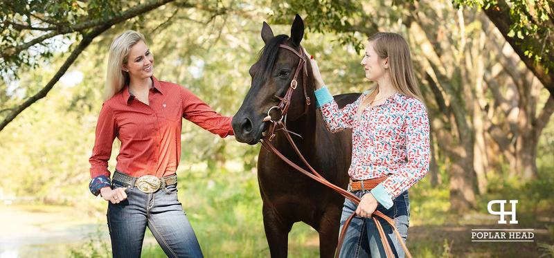 Jeffers Poplar Head Saddlery Oiled Harness Leather Browband Headstall with Waterloop Ends