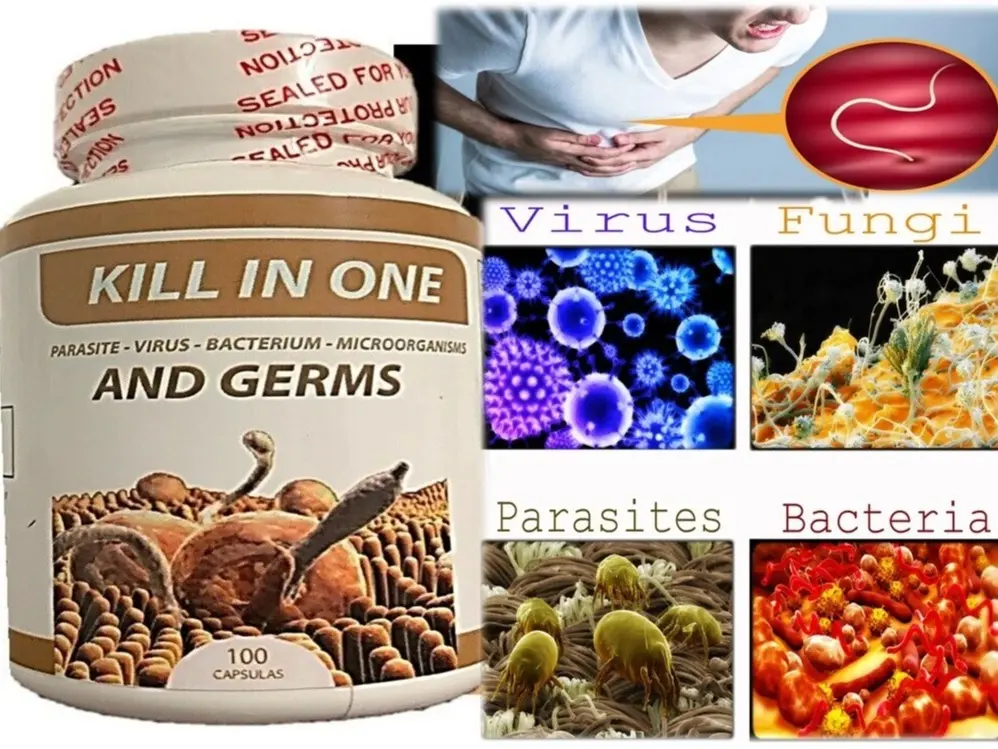 Anti parasite colon clean worm , colon cleanser Anti parasite colon clean worm , colon cleanser
