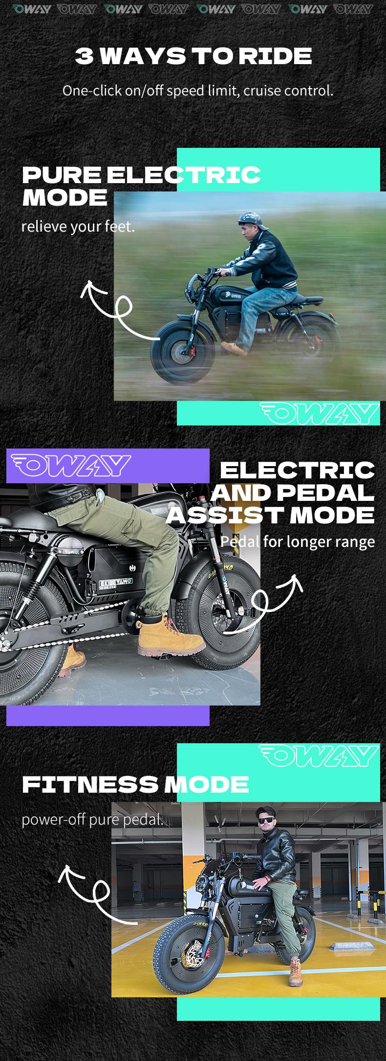 OWAY Black Warrior electric bicycle sk-1 ultra 3000W 60v 50ah High Speed Long Range 62mile high fatebike